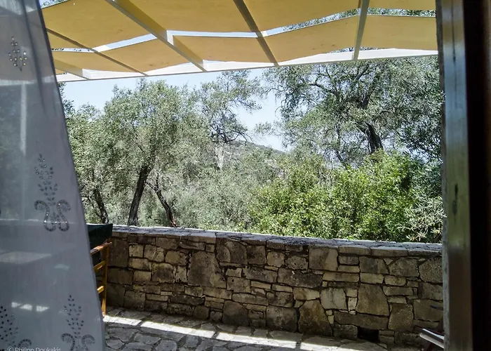 Adamantia S1 アパート *